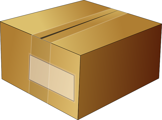 kartonová krabice