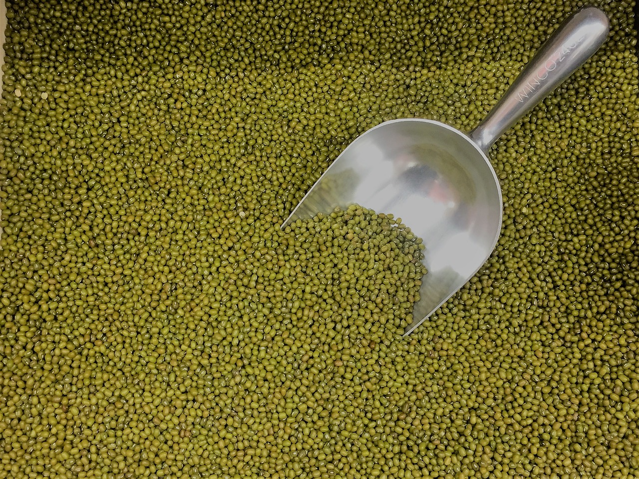 moong-beans-2313102_1280
