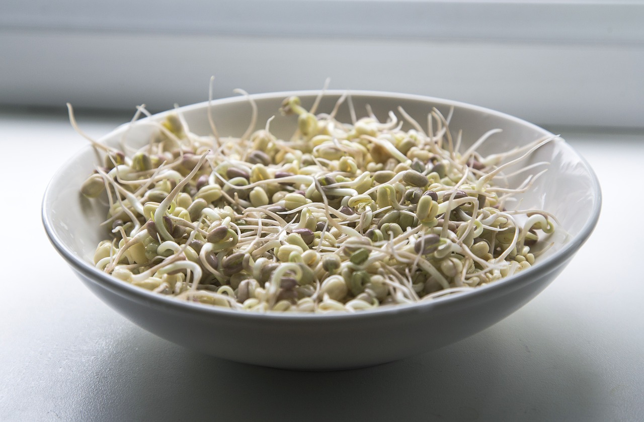 sprouts-1725589_1280